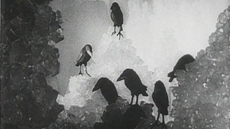 Backdrop image for movie The Seven Ravens