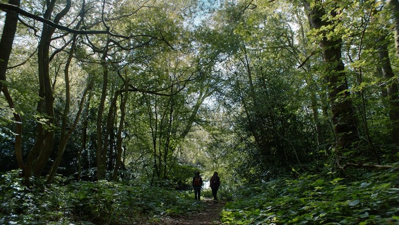 Backdrop image for movie Diggers