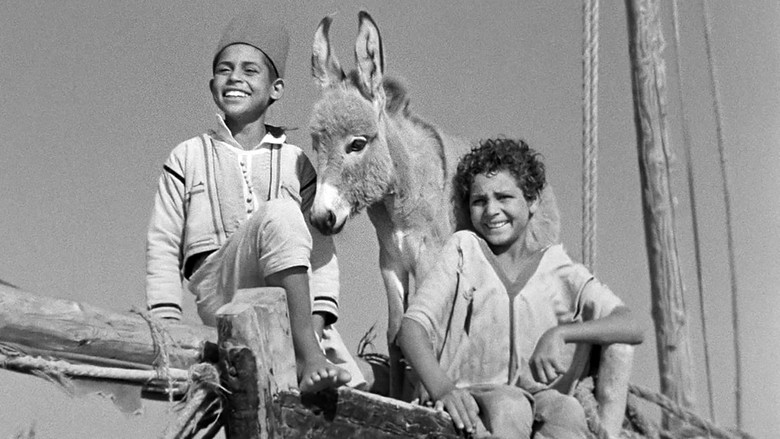 Backdrop image for movie Bim, the Little Donkey