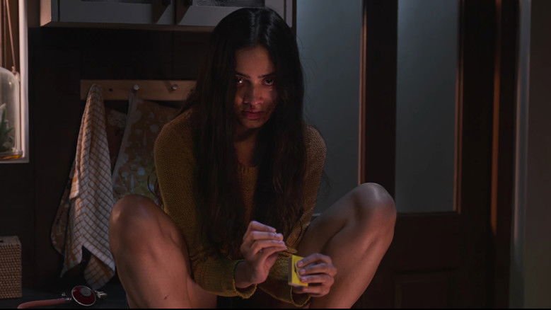 Backdrop image for movie Shaitaan