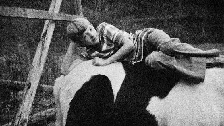 Backdrop image for movie Portraits and Dreams