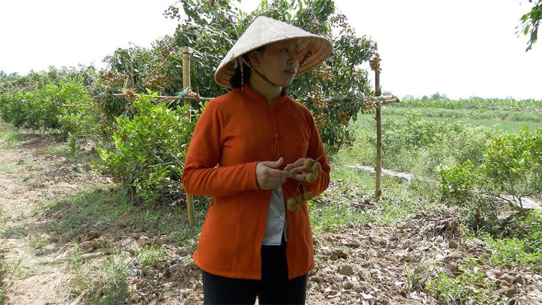 Backdrop image for movie A Hundred Years of Happiness