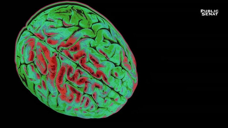 Backdrop image for movie Le pouvoir nuit-il gravement au cerveau ?