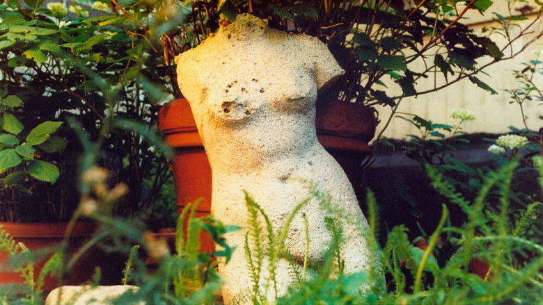 Backdrop image for movie The Odds of Recovery