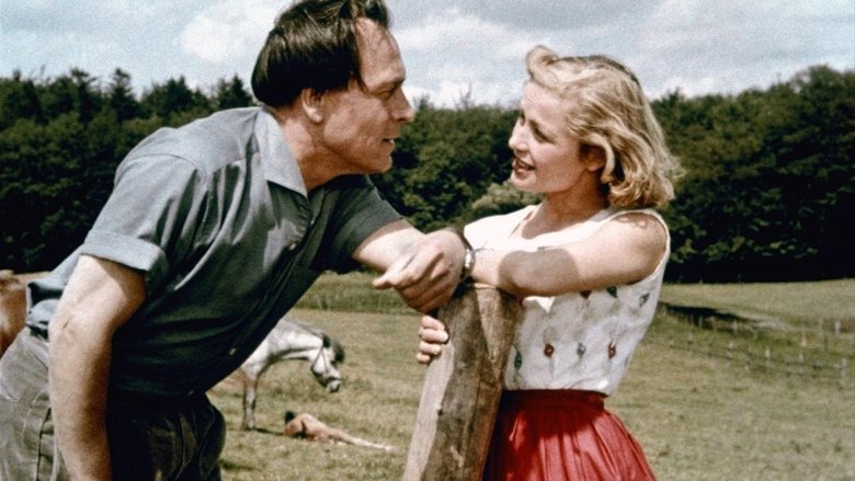 Backdrop image for movie Hochzeit auf Immenhof