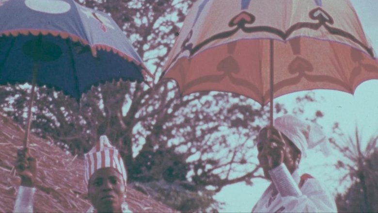 Backdrop image for movie Under the Sign of Voodoo