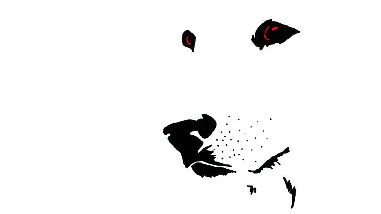 Backdrop image for movie White Dog