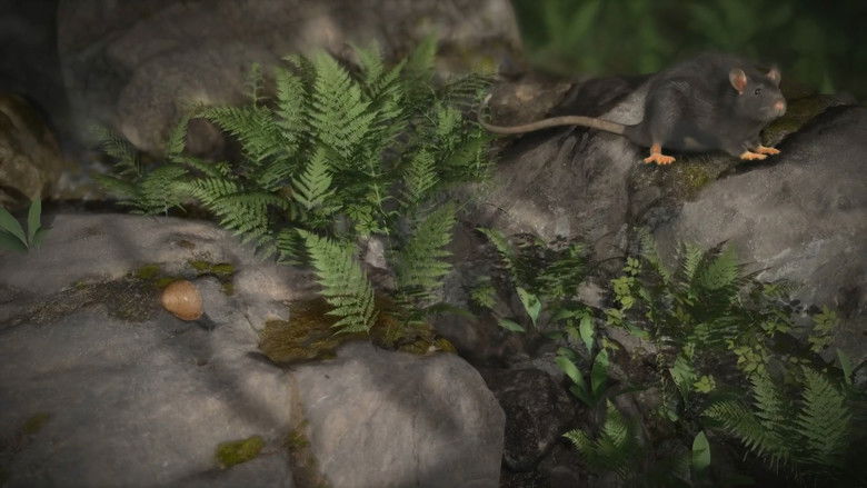 Backdrop image for movie Accidental Host: The Story of Rat Lungworm Disease