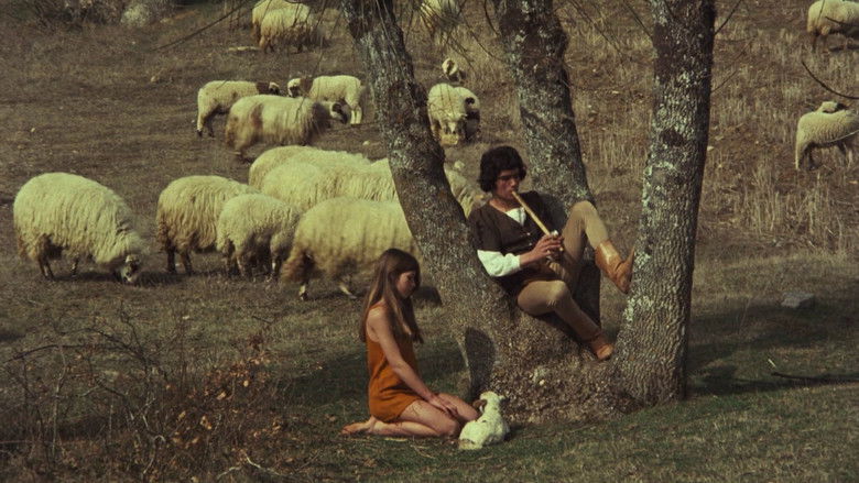 Backdrop image for movie Trails