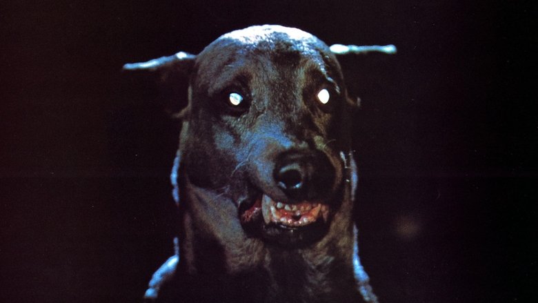 Backdrop image for movie Dracula's Dog