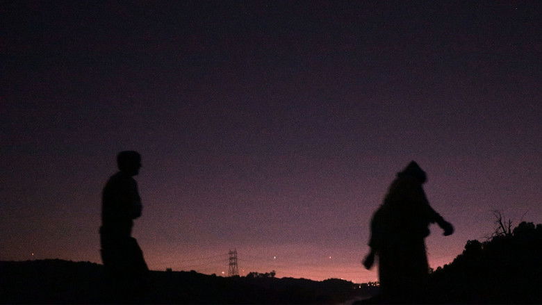 Backdrop image for movie The Cosmic Clown