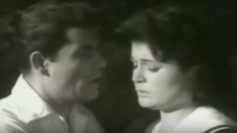Backdrop image for movie Bufakkar filli nassini