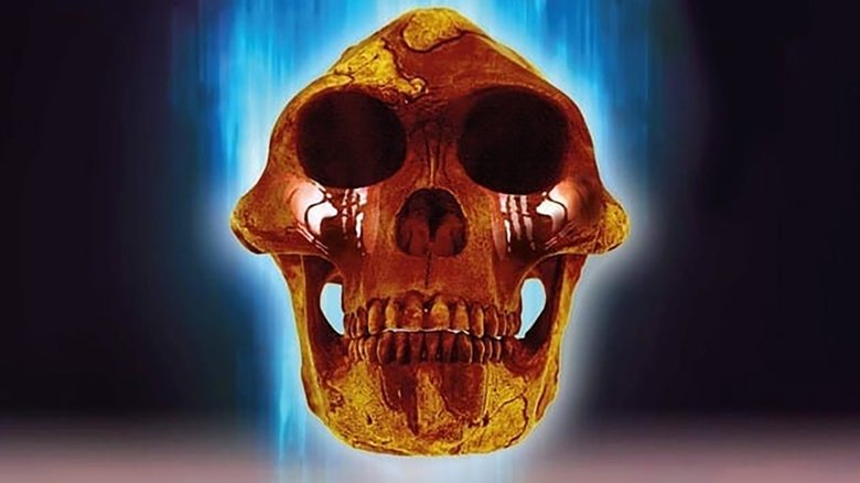 Backdrop image for movie 2.0 Lucy