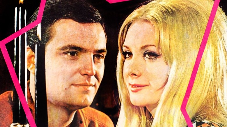 Backdrop image for movie Sabah Yıldızı