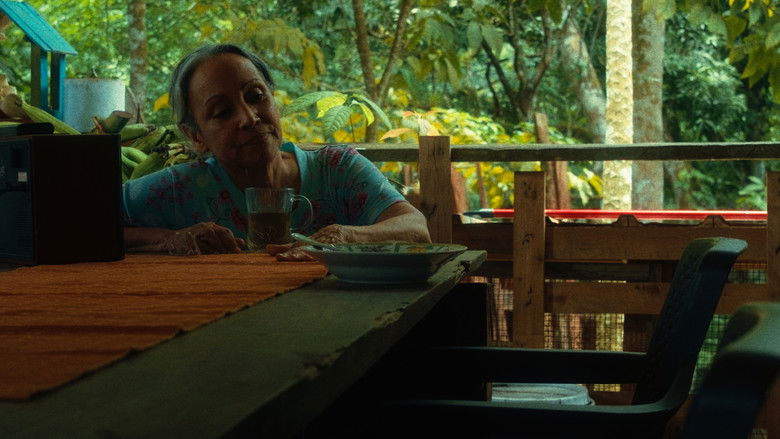 Backdrop image for movie Como Cantan Las Aves