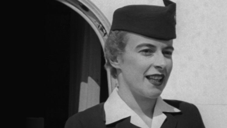 Backdrop image for movie Eye Witness: Service in the Sky