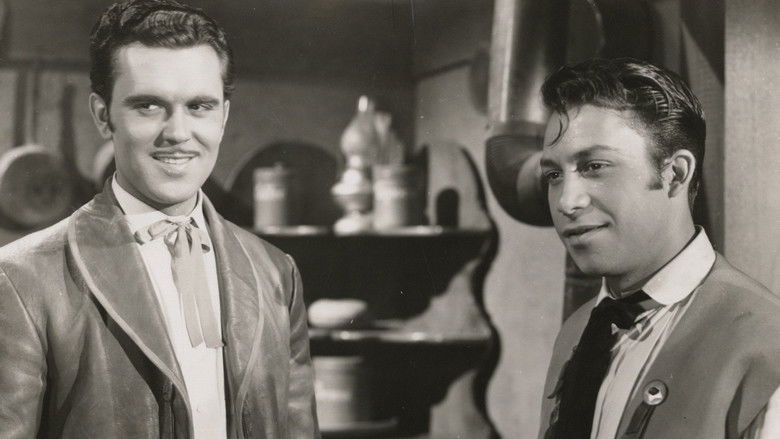 Backdrop image for movie The Adventures of Don Coyote