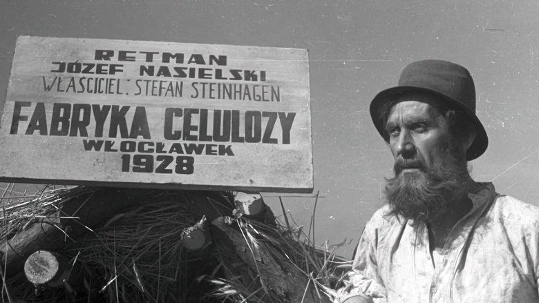 Backdrop image for movie Cellulose
