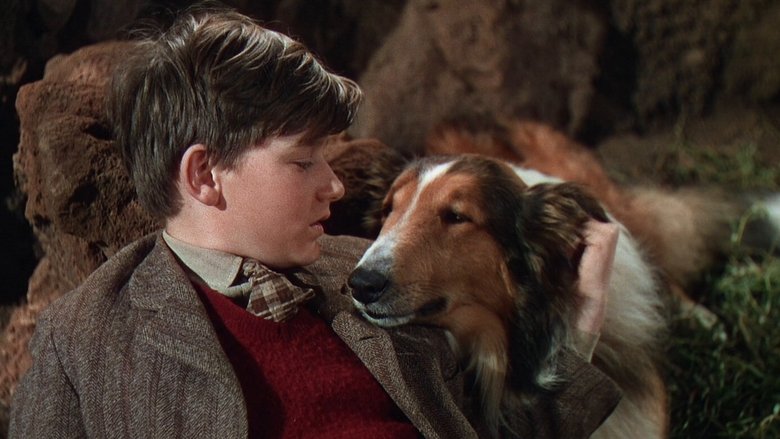 Backdrop image for movie Lassie Come Home