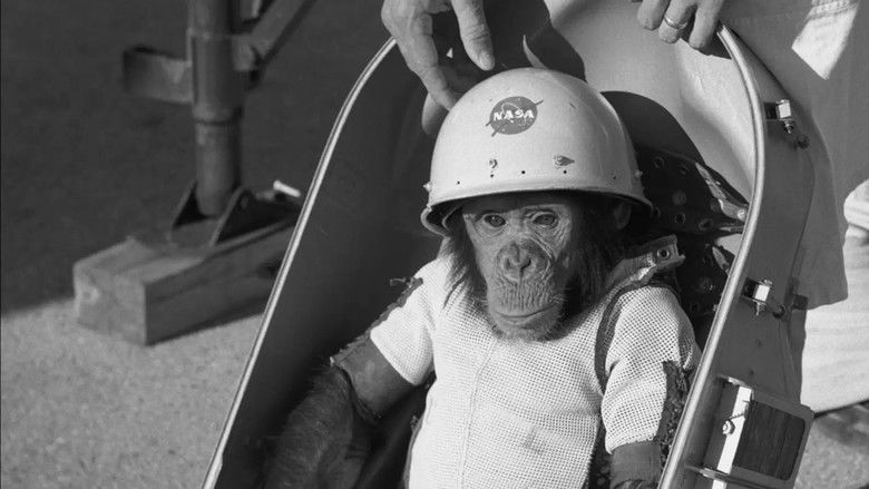 Backdrop image for movie One Small Step: The Story of the Space Chimps