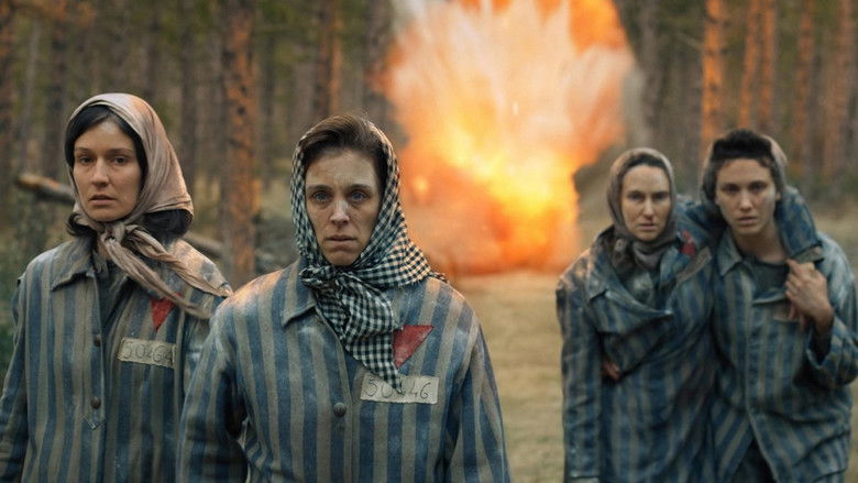 Backdrop image for movie Ashes in the Sky