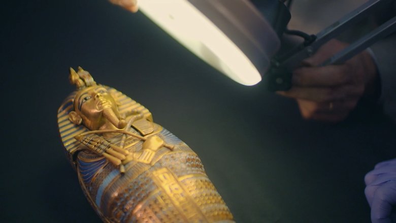 Backdrop image for movie The True Story of King Tut's Tomb