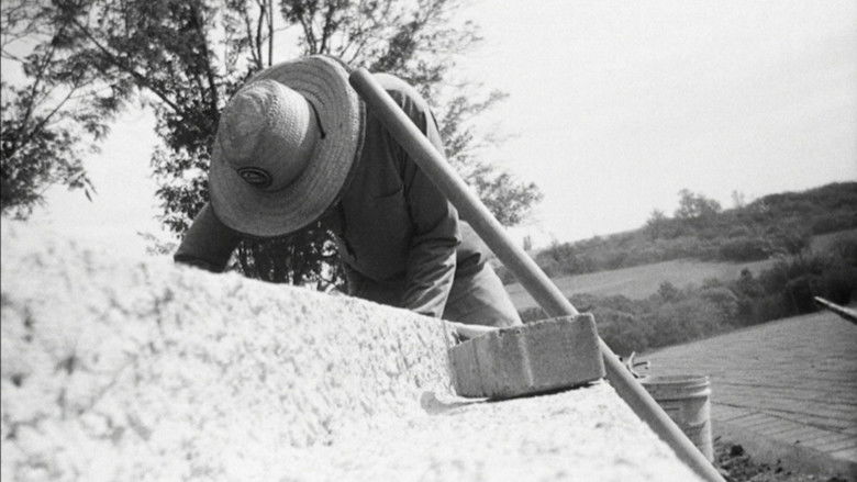 Backdrop image for movie INTERVENTIONS AND INTERFERENCES