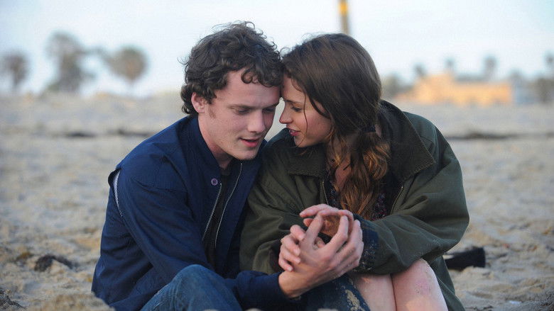 Backdrop image for movie Like Crazy