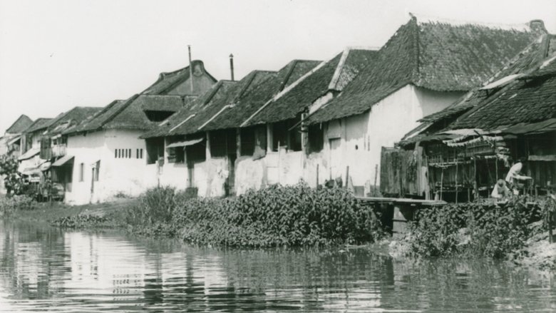 Backdrop image for movie Bland malajer på Sumatra