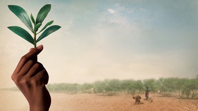 Backdrop image for movie The Great Green Wall