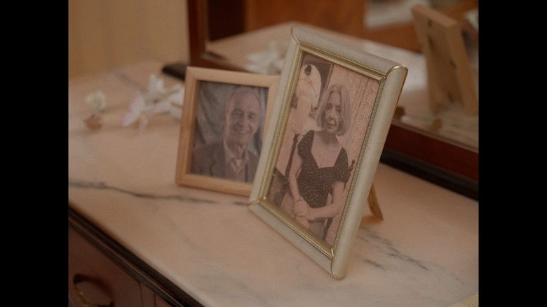 Backdrop image for movie Solitario