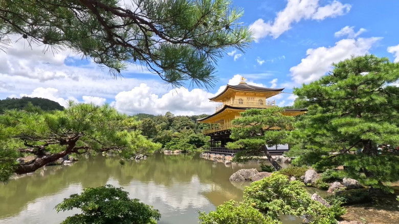 Backdrop image for movie Japan Trip