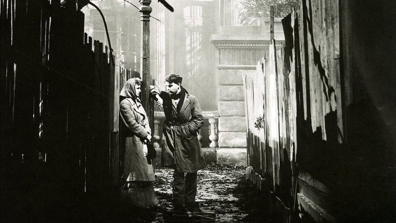 Backdrop image for movie They Drive by Night