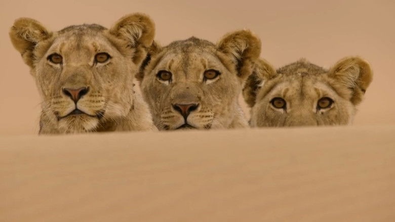 Backdrop image for movie Desert Lions of the Namib - Departure and Return