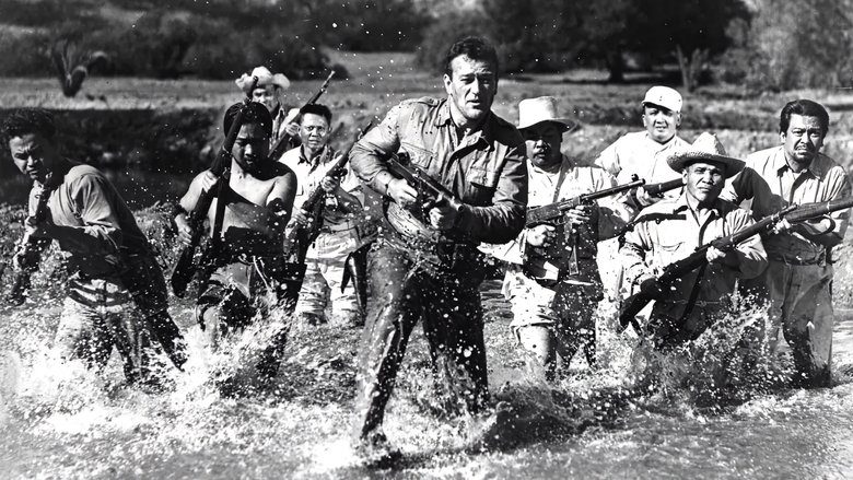 Backdrop image for movie Back to Bataan