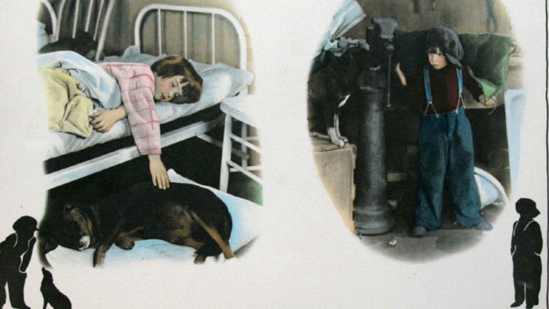 Backdrop image for movie Trouble