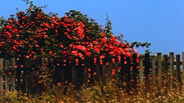 Backdrop image for movie All My Life