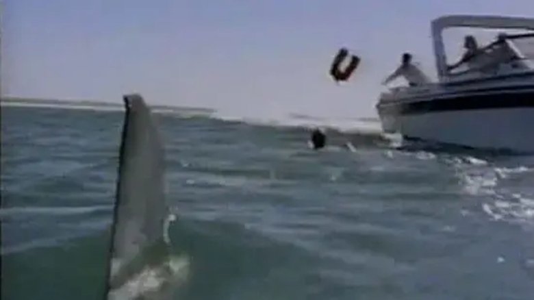 Backdrop image for movie Shark's Paradise