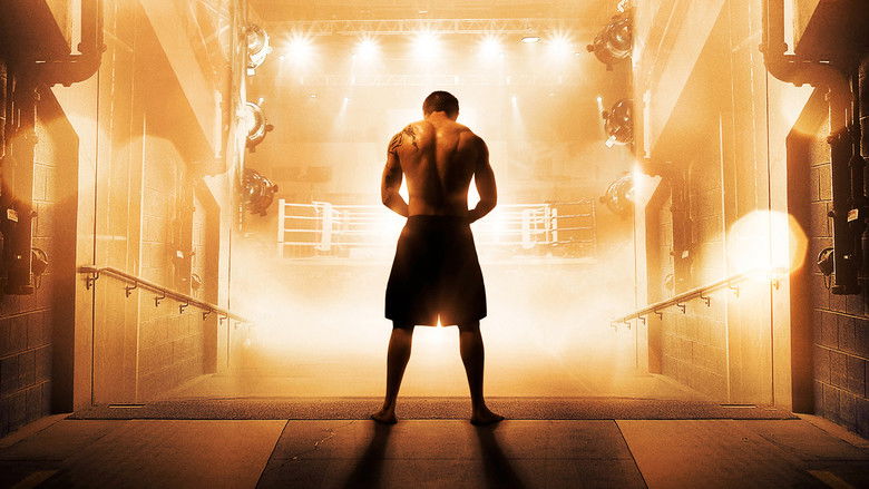 Backdrop image for movie Warrior