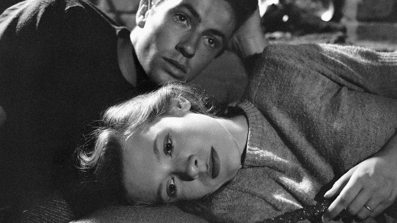 Backdrop image for movie They Live by Night