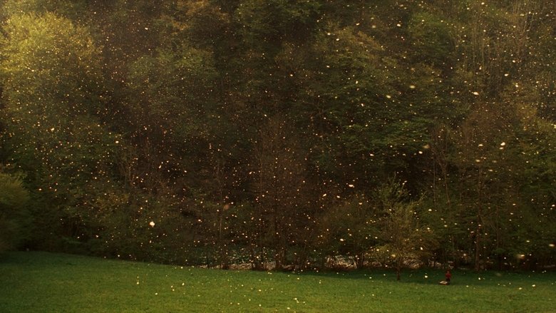 Backdrop image for movie Stories from the Chestnut Woods