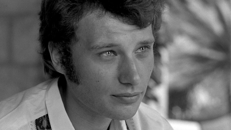 Backdrop image for movie Johnny made in France