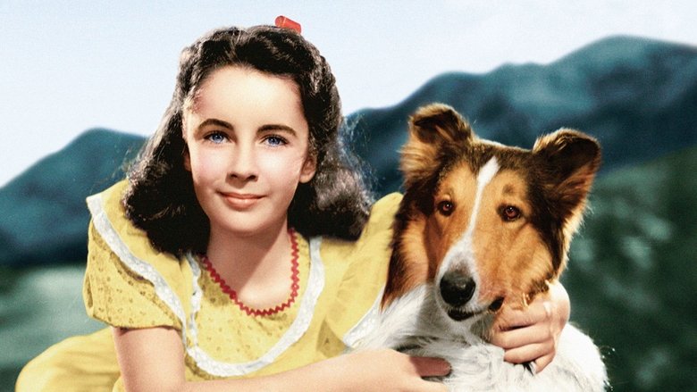 Backdrop image for movie Courage of Lassie