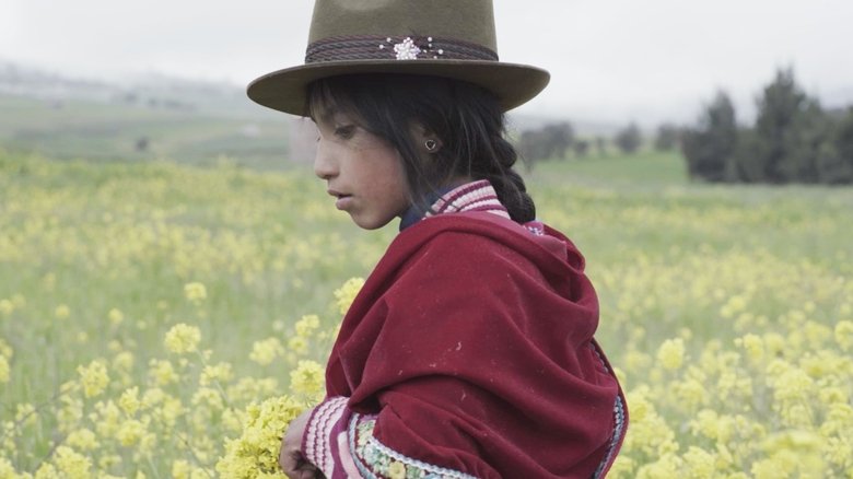 Backdrop image for movie Ozogoche