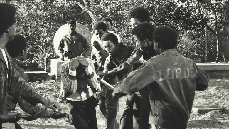 Backdrop image for movie The Education of Sonny Carson