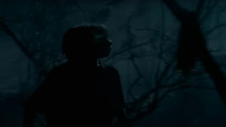 Backdrop image for movie Goosebumps: The Werewolf of Fever Swamp