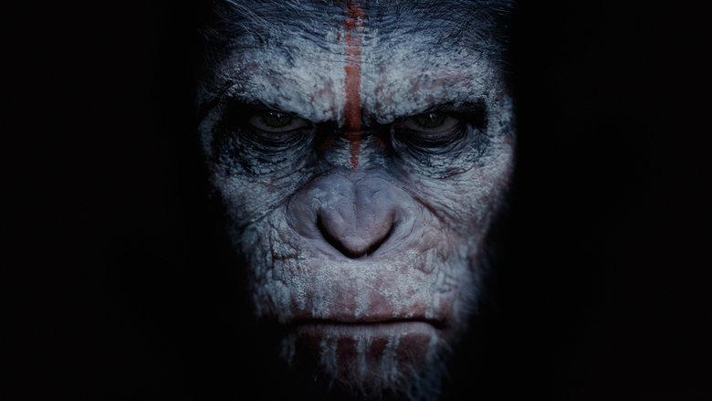 Backdrop image for movie Dawn of the Planet of the Apes