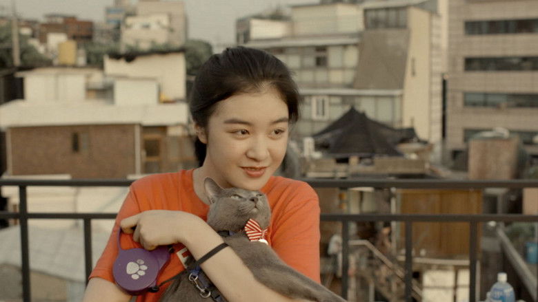 Backdrop image for movie Hello, My Cat