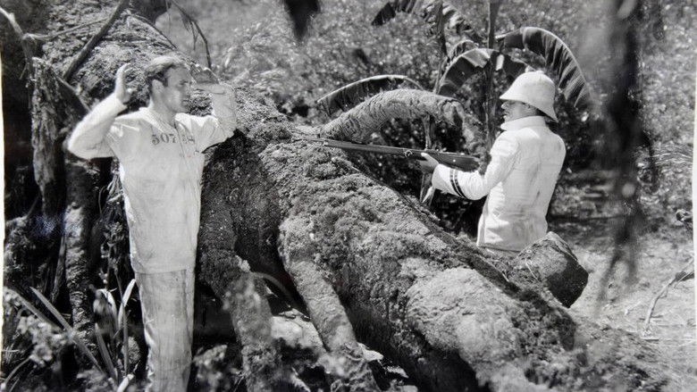 Backdrop image for movie Hell's Island