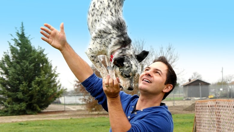 Backdrop image for movie World's Greatest Dogs